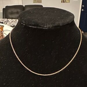Les Nereides Elegant Gold Tone Chain Necklace with Extension Chain. 15”